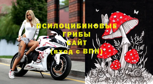 2c-b Усолье-Сибирское